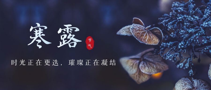 寒露 ▎時光更迭，璀璨正在凝結~